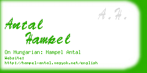 antal hampel business card